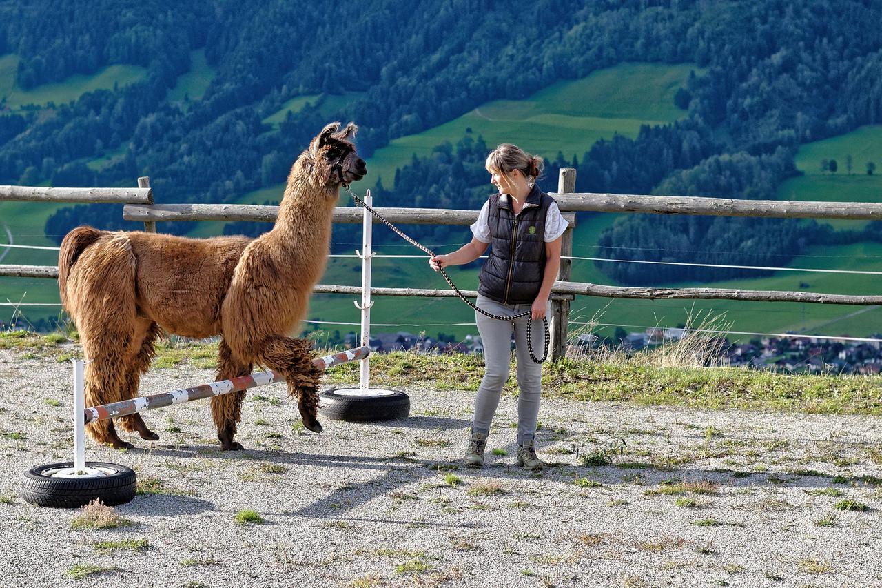 Farm stay Klausnerhof *