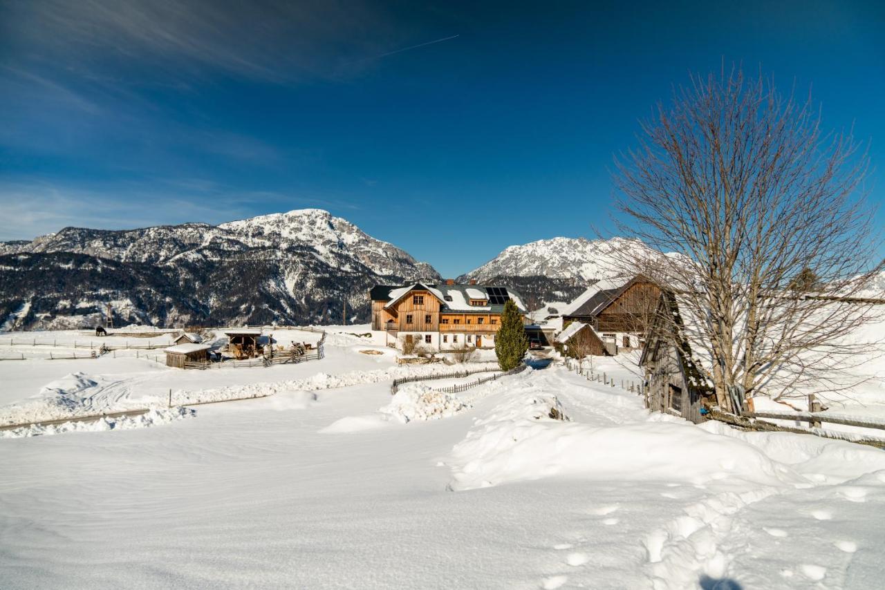 Farm stay Klausnerhof *